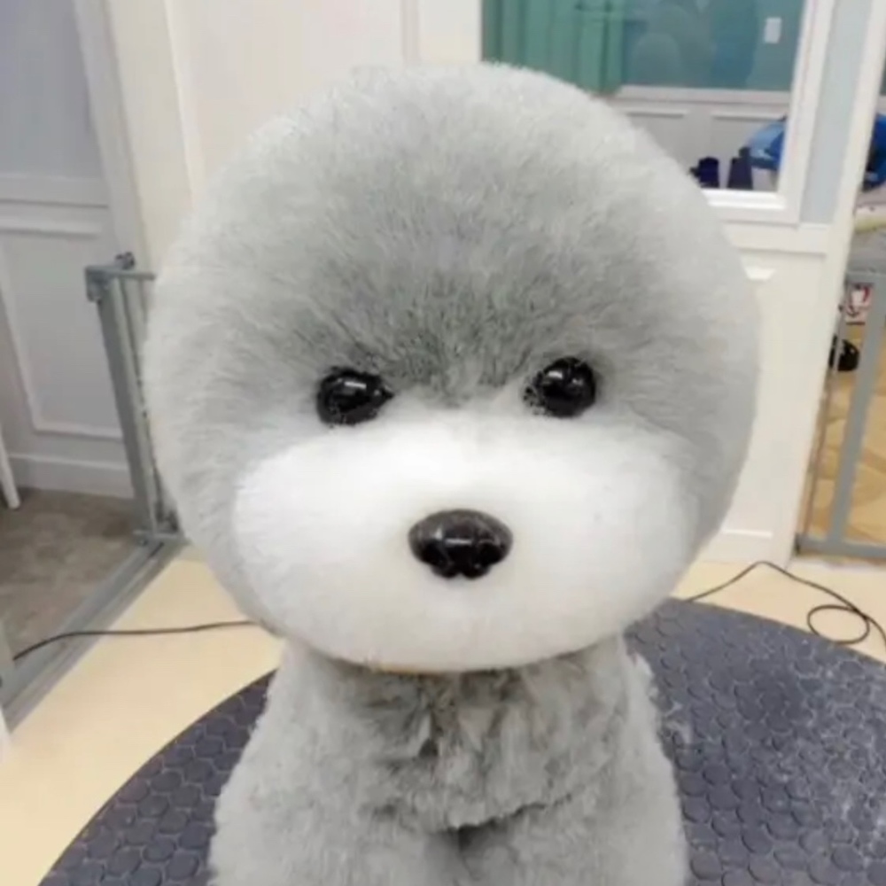 Meet your Posher, Cedar